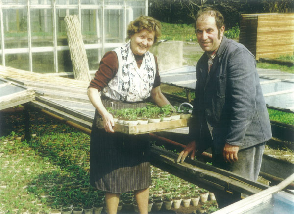 Ilse und Helfried Grahl, Ende der 70iger Jahre, beim abhärten der Tomaten 